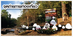 ออกแบบแบนเนอร์,กราฟฟิกดีไซน์