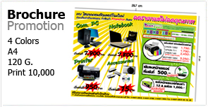 บบ,โบชัวร์,Brochure