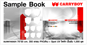 catalogue,ฟิล์มกรองแสง,ออกแบบ,สิ่งพิมพ์,แครี่บอย