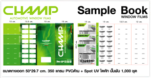 catalogue,ฟิล์มกรองแสง,ออกแบบ,สิ่งพิมพ์,แครี่บอย